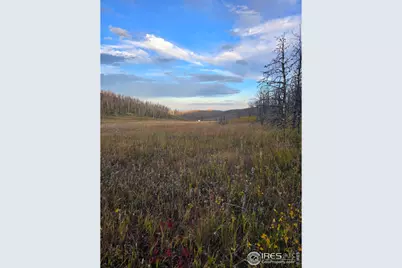 75 Sheep Horn Ct, Bellvue, CO 80512 - Photo 16