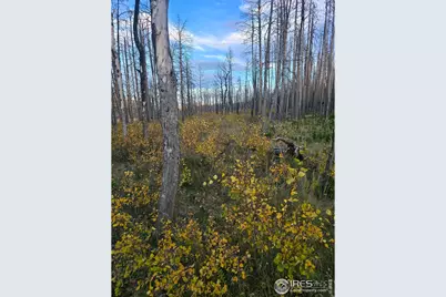 75 Sheep Horn Ct, Bellvue, CO 80512 - Photo 4