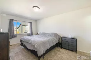 6479 Black Hills Ave, Loveland, CO 80538 - Photo 14