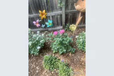 2500 Wapiti Rd, Fort Collins, CO 80525 - Photo 32