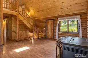 679 Mt Massive Dr, Livermore, CO 80536 - Photo 14