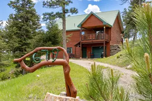 679 Mt Massive Dr, Livermore, CO 80536 - Photo 10