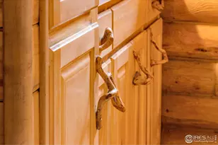 679 Mt Massive Dr, Livermore, CO 80536 - Photo 38