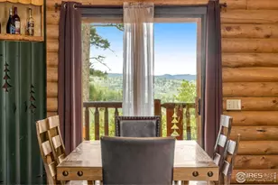 679 Mt Massive Dr, Livermore, CO 80536 - Photo 12