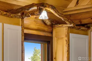 679 Mt Massive Dr, Livermore, CO 80536 - Photo 20