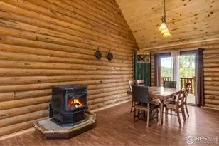 679 Mt Massive Dr, Livermore, CO 80536 - Photo 16