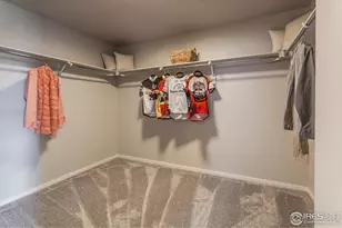 764 Trumpet Ct, Windsor, CO 80550 - Photo 22