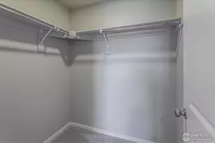 764 Trumpet Ct, Windsor, CO 80550 - Photo 28