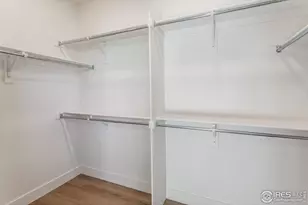 774 Trumpet Ct, Windsor, CO 80550 - Photo 30