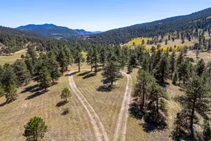 681 Bitterroot Gulch Rd, Loveland, CO 80537 - Photo 44