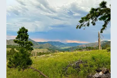 3235 Davis Ranch Rd, Bellvue, CO 80512 - Photo 16