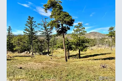 3235 Davis Ranch Rd, Bellvue, CO 80512 - Photo 32