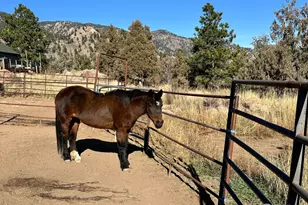 123 Mohawk Rd, Lyons, CO 80540 - Photo 2