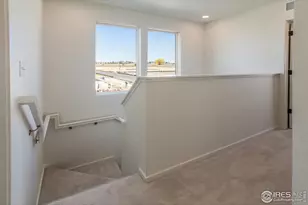 975 Trumpet Ln, Windsor, CO 80550 - Photo 24
