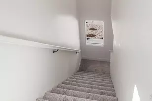 981 Trumpet Ln, Windsor, CO 80550 - Photo 28