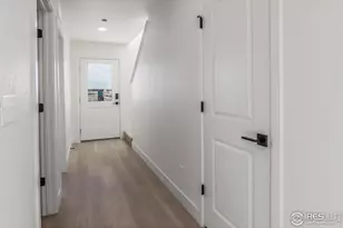 981 Trumpet Ln, Windsor, CO 80550 - Photo 4