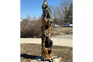 7413 Crystal Ave, Frederick, CO 80530 - Photo 26