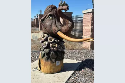 7465 Slate Pl, Frederick, CO 80530 - Photo 28