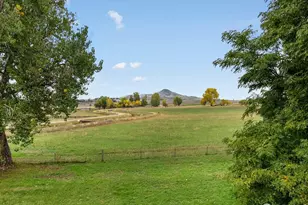 8418 Stirrup Ln, Longmont, CO 80503 - Photo 36