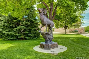 710 City Park Ave, Fort Collins, CO 80521 - Photo 32