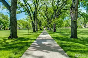 710 City Park Ave, Fort Collins, CO 80521 - Photo 34