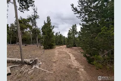 44 Catamount Ct, Red Feather Lakes, CO 80545 - Photo 8