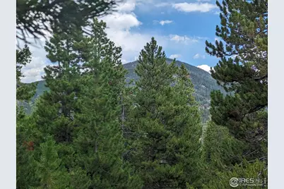 44 Catamount Ct, Red Feather Lakes, CO 80545 - Photo 6