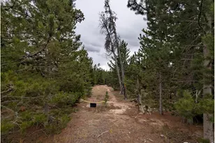 44 Catamount Ct, Red Feather Lakes, CO 80545 - Photo 1