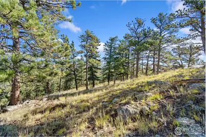 90 Sunlight Cir, Livermore, CO 80536 - Photo 14