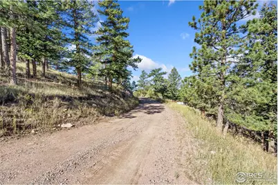 90 Sunlight Cir, Livermore, CO 80536 - Photo 10