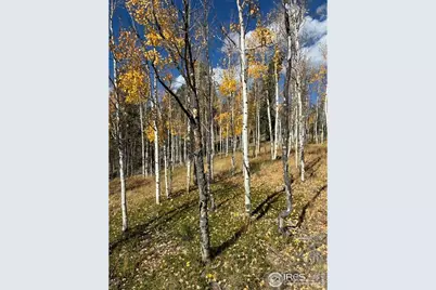 85 Remwood Cir, Divide, CO 80814 - Photo 2