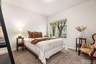 1343 Lake Cir, Windsor, CO 80550 - Photo 14