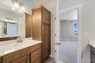 6793 Maple Leaf Dr, Timnath, CO 80547 - Photo 20