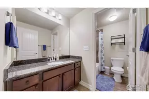 6074 Carmon Dr, Windsor, CO 80550 - Photo 36