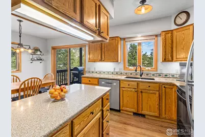 1263 Broadview Rd, Estes Park, CO 80517 - Photo 10