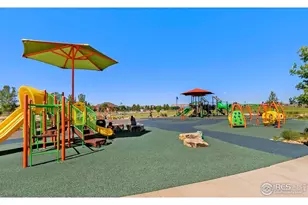 6778 Coach Light Ct, Timnath, CO 80547 - Photo 46