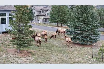 1555 Raven Cir #C, Estes Park, CO 80517 - Photo 14