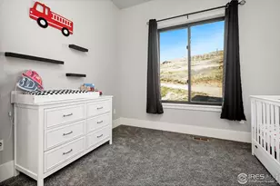 894 Turkey Roost Dr, Livermore, CO 80536 - Photo 34