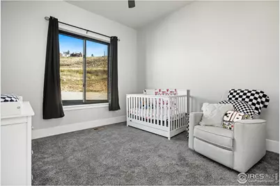 894 Turkey Roost Dr, Livermore, CO 80536 - Photo 36