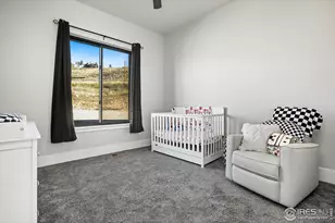 894 Turkey Roost Dr, Livermore, CO 80536 - Photo 36