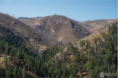 0 Pine Acres Way, Bellvue, CO 80512 - Photo 28