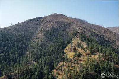 0 Pine Acres Way, Bellvue, CO 80512 - Photo 24