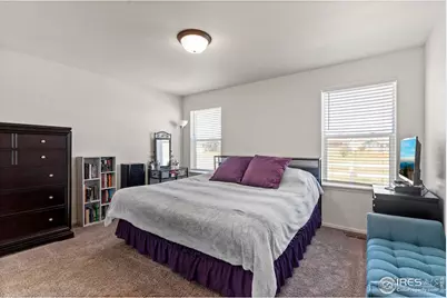 941 Barasingha St, Severance, CO 80550 - Photo 18