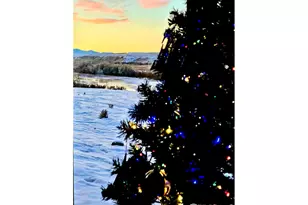 55775 Hwy 318, Maybell, CO 81640 - Photo 40