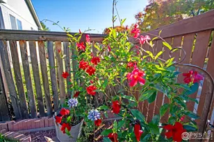 2583 Begonia Ct, Loveland, CO 80537 - Photo 18