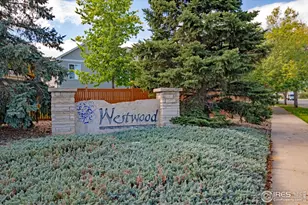 2583 Begonia Ct, Loveland, CO 80537 - Photo 26