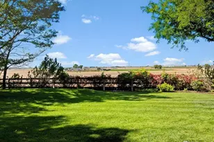 360 Peregrine Point, Eaton, CO 80615 - Photo 32