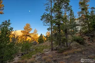 1997 Big Owl Rd, Allenspark, CO 80510 - Photo 4