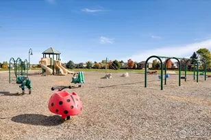 4324 Onyx Pl, Johnstown, CO 80534 - Photo 48