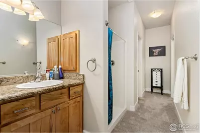 4101 Crittenton Ln #106U, Wellington, CO 80549 - Photo 10